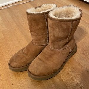 classic chestnut ugg boots